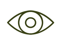 LASIK Icon